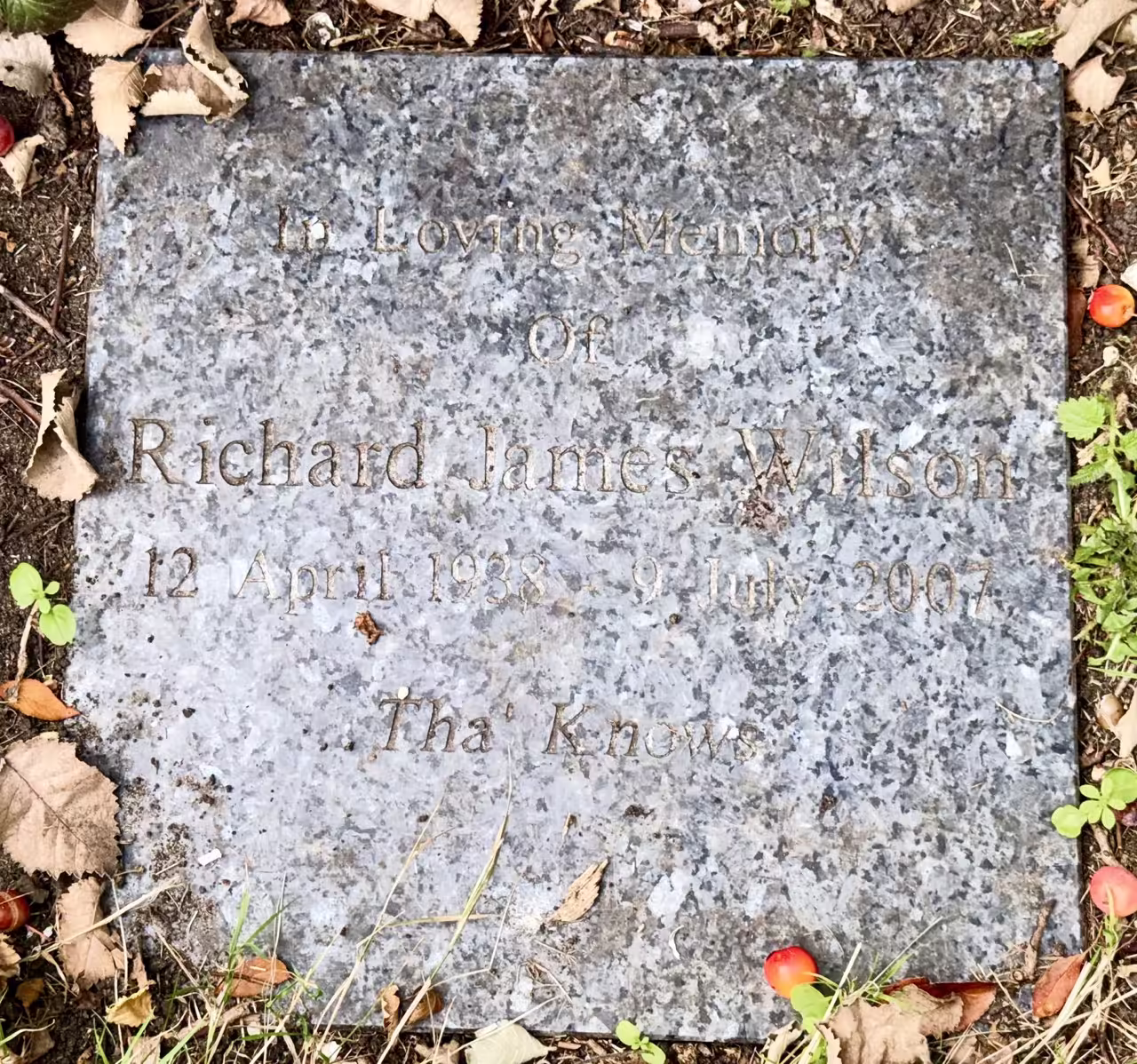 Plaque