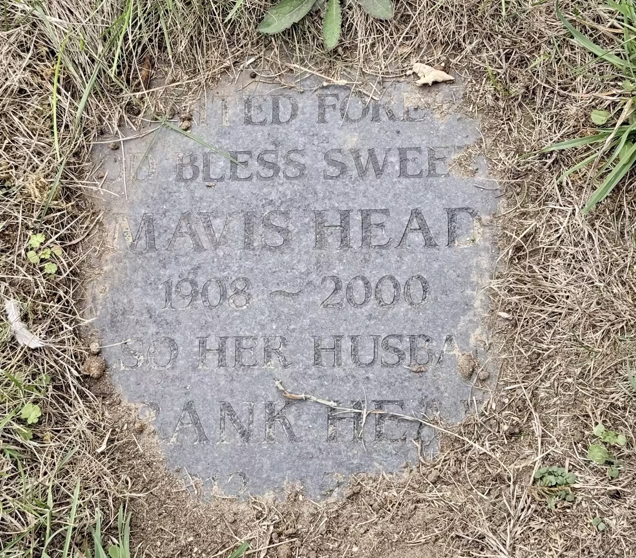 Plaque