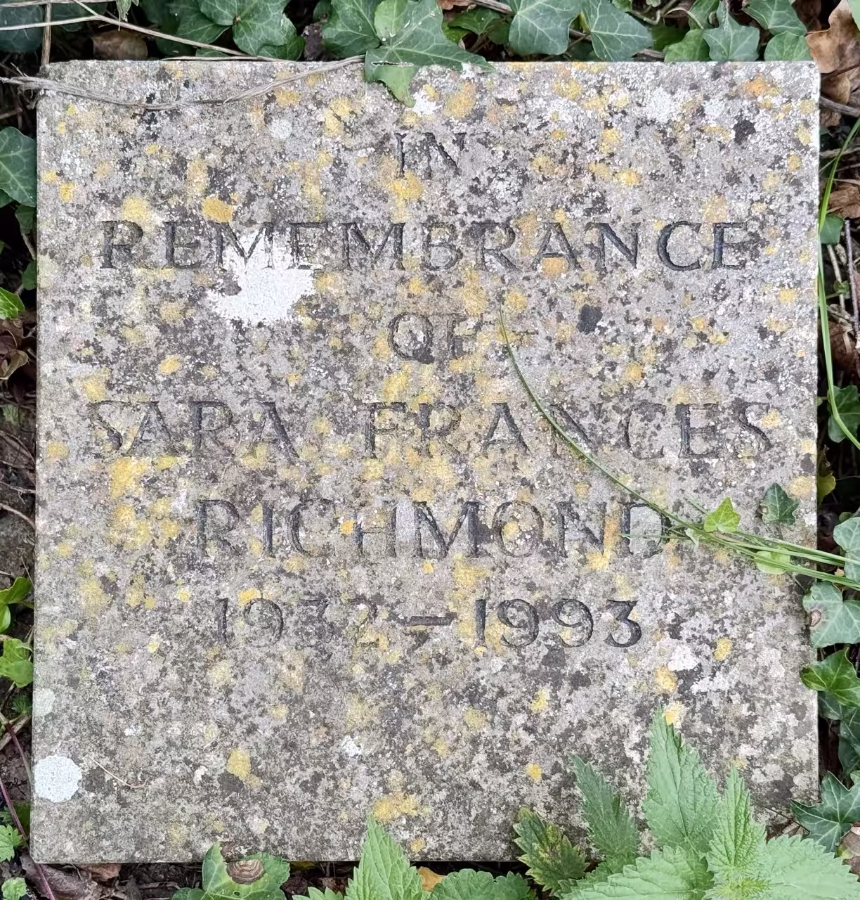 Plaque