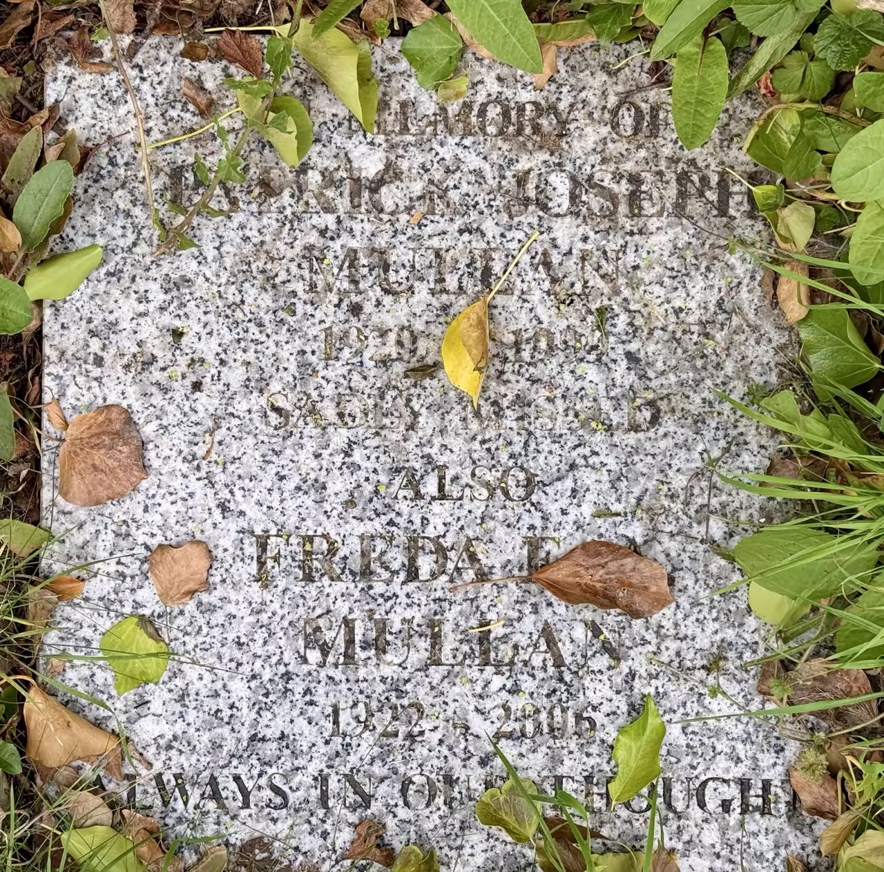 Plaque