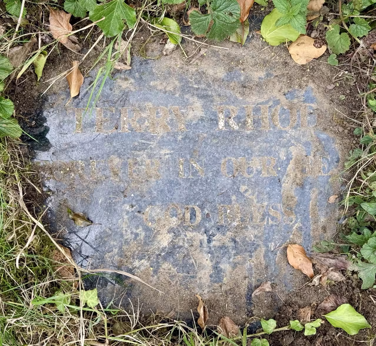 Plaque